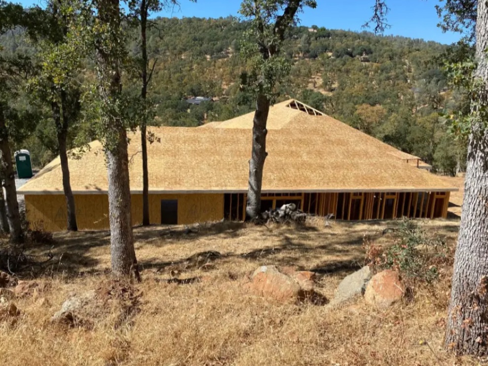 New home with the roof framed and sheathed, seen through the oaks