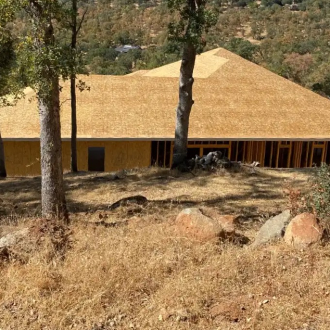 New home with the roof framed and sheathed, seen through the oaks